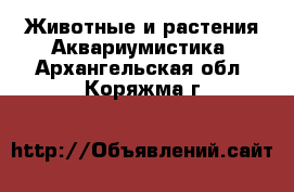 Животные и растения Аквариумистика. Архангельская обл.,Коряжма г.